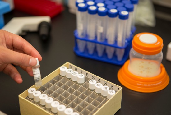 Hand reaching into an open box with research vials 