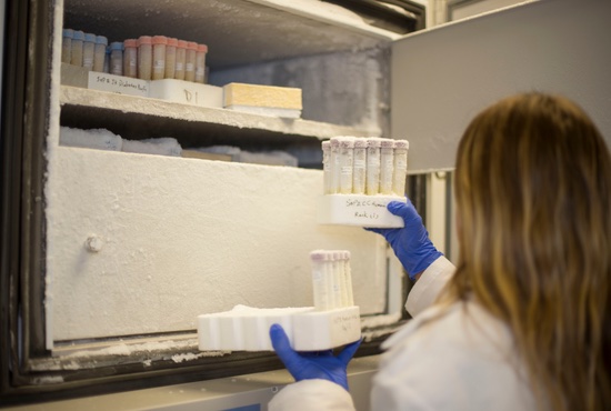 Person taking samples from open deep freezer 