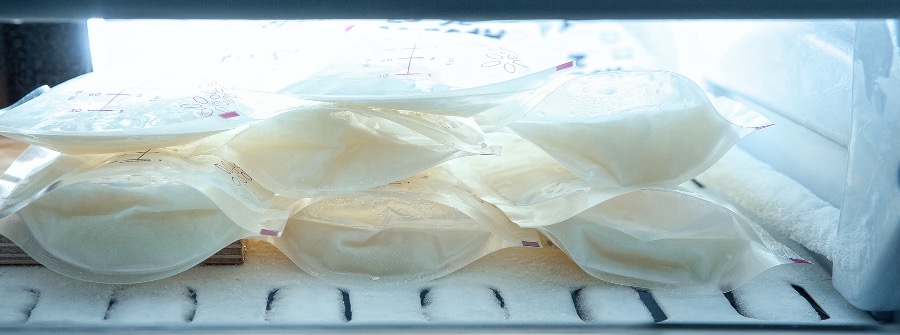 1 of 1, Bags of frozen human milk on a freezer shelf