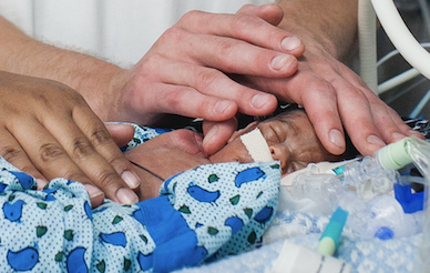 Parents hands holding their hands over premature baby