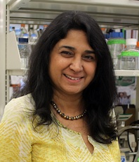 Rajini Rao, PhD